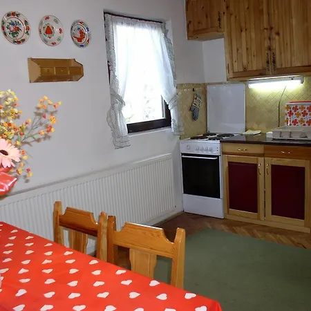 U Borovoj Sumi Zlatibor