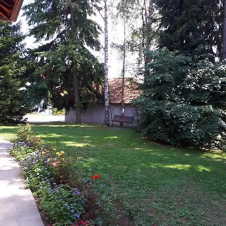 U Borovoj Sumi Apartman *