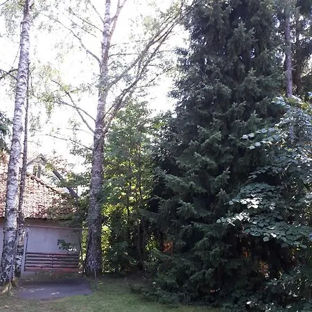 Apartman U Borovoj Sumi