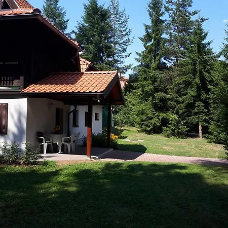 Apartman U Borovoj Sumi Zlatibor